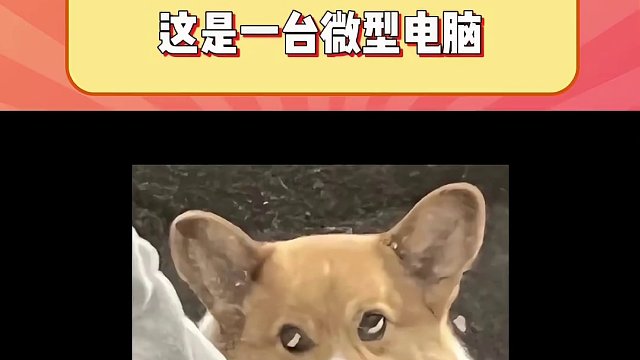 这么聪明的办法还真让你想出来了 #万万没想到 #搞笑 #手机