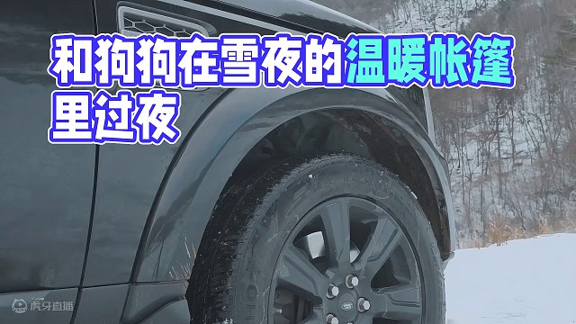 寒冷的雪夜里温暖的帐篷生活，和狗狗一起过夜！ #露营 #沉浸式露营 #雪中露营