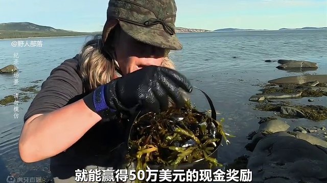 荒野独居番外篇，6名选手荒岛生存，享受美味烤鸡，生吃海胆刺身 #荒野求生 #野外生存 #户外