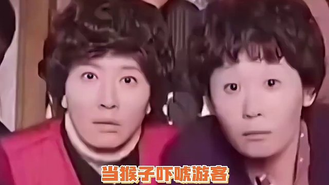 猴子：我承受了我不能承受之痛！